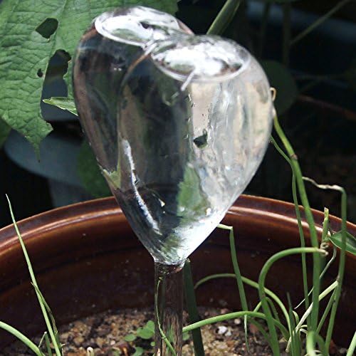 ZhuoLang Automatic Watering Globes Transparent Glass Self Watering Probe For Potted Plants Heart Shaped (2)