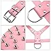 Didog Studded Spiked Leather Dog Harness for Medium and Large Dogs,Fit Pit Bulldog Terrier Mastiff Puppy Boxer(Pink)