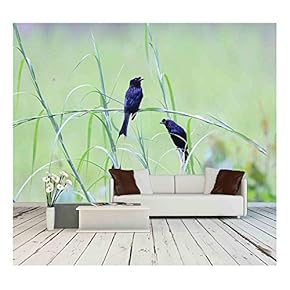 Greater Racket-Tailed Drongo - Removable Wall Mural | Self-Adhesive Large Wallpaper - 66x96 inches