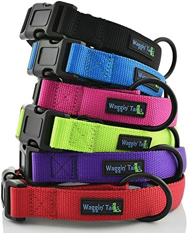 Classic Comfort Dog Collar Premium Nylon Neoprene Padded Dog Collar for Medium Sized Dog Comfortable Collar for Your Dog by Wagtime Club (Black) M