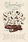 Chocolate Educational Food Poster by Naomi Weissman 24 x 36in