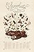 Chocolate Educational Food Poster by Naomi Weissman 24 x 36in