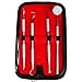 Queentools Stainless Steel Dentists Kit, 4 Tools Tartar Remover, Dental Pick Hygiene Set for Personal Use, Protection Case, Black