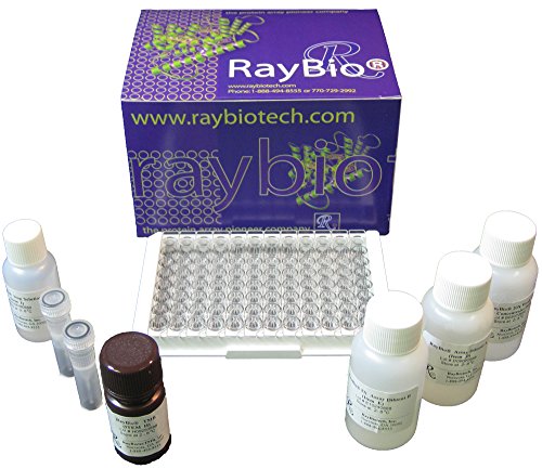 RayBiotech Mouse IGF-2 ELISA, 1 x 96-Well Strip Microplate Kit ELM-IGF2-1