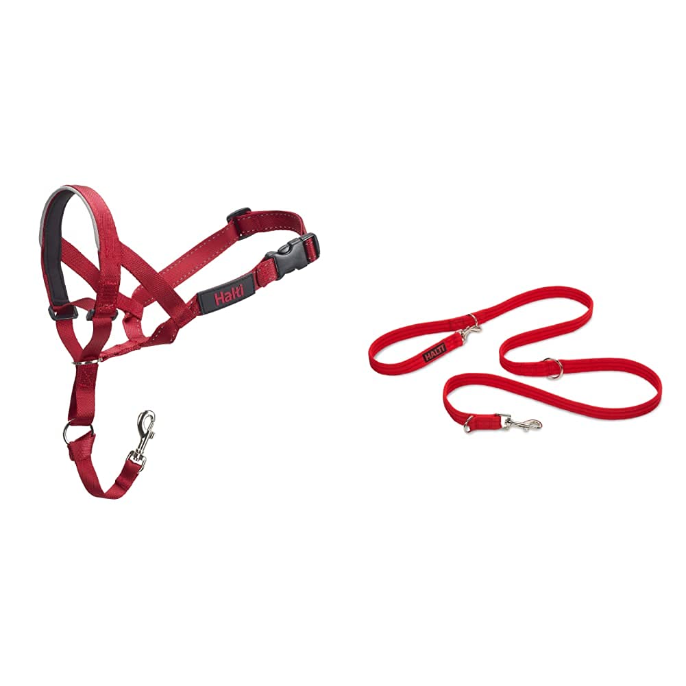 Company of Animals: Halti Headcollar & Double Ended Training Lead Pack suitable for Small, Medium and Large dogs