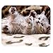 Custom Cute Cat Mouse Pad Gaming Rectangle Mousepad CM-222