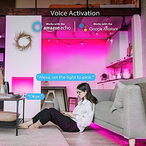 QJB Alexa LED Strip Lights 65.6ft Smart WiFi LED Strip Lights Works
