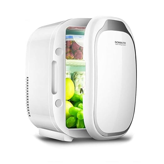 Kühlbox Coche Nevera Mini eléctrica Nevera portatil Refrigerador ...