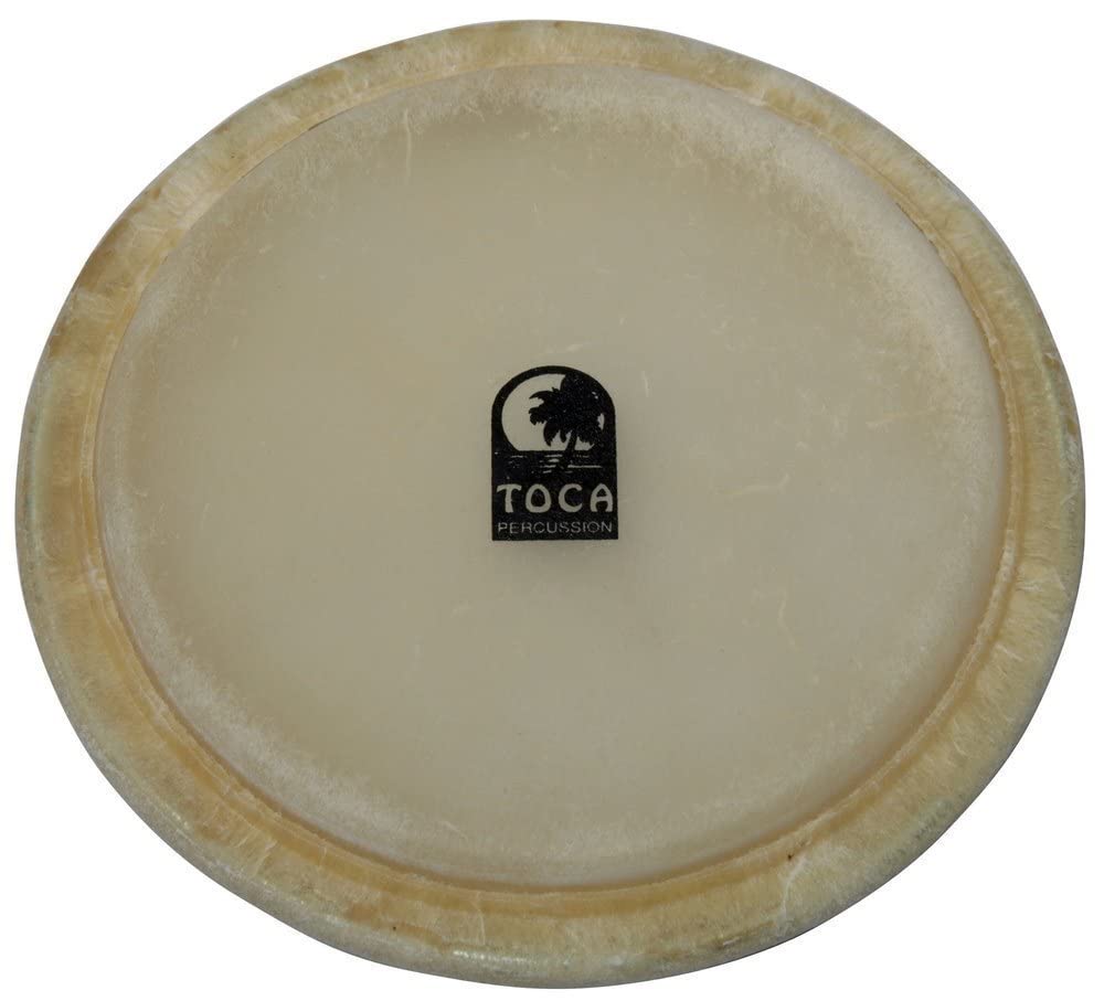 Toca 8 1/2" Bongo Head TP-3170LHD