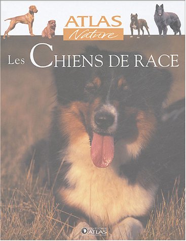 Les  chiens de race