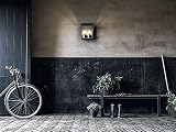 Philips myGarden Harvest Vintage Wall Lantern Black 230 V 2 x 42 W view 3