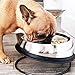 Enhanced Pet Bowl, Stainless Steel Slanted Dog Bowl with Raised Ridge, Food-Grade Non-Slip No Spill Bowl for Dogs, Less Mess, Less Gas, and Better Digestion (Medium)