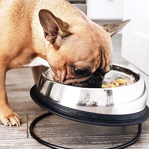 petsmart dog toothpaste