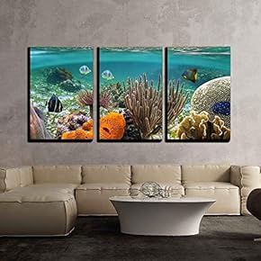 Underwater View of Ocean Wall Decor x3 Panels
