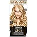 L'Oreal Paris Superior Preference Brush On Glam Highlights, GL90 Light Blonde to Medium (Packaging May Vary)