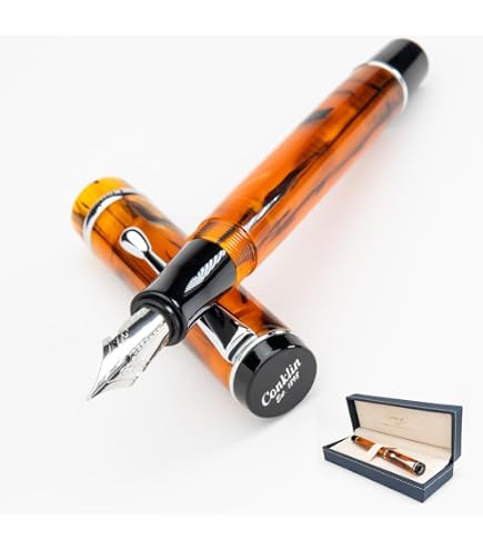 Amazon.com : Hugo Boss Icon Fountain Pen : Office Products