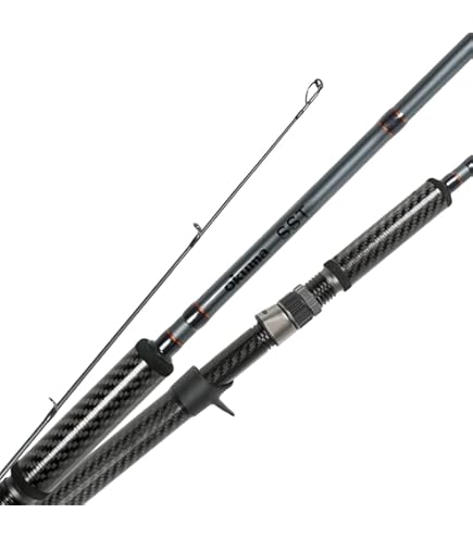 Amazon.com : Shimano Exage BX STC Spinning 9 Feet, Castingweight