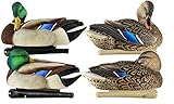 Avian-X Top Flight Preener/Rester Mallard Duck Hunting Decoys 8072
