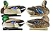 Avian-X Top Flight Preener/Rester Mallard Duck Hunting Decoys 8072