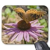 Mouse pad Butterfly On A Purple Coneflower Mouse Pad