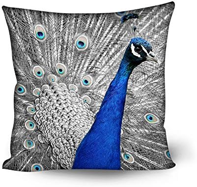 Peacock Decorative Throw Pillow Cover For Kids 18x18 Square Cool Cute Wild Animal Personalized Customized Rectangle Soft Sofa Bed Living Room Outdoor Camping Head Anime Plain Pillow Cover