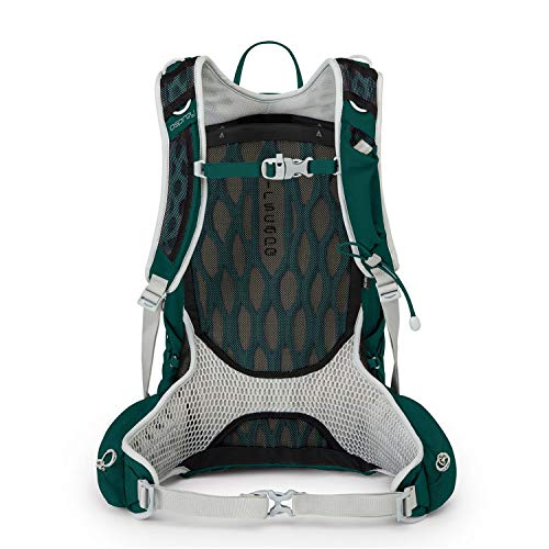 Osprey Packs Tempest 20 Women's Hiking Backpack, Chloroblast Green, WX