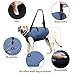 Coodeo Dog Lift Harness, Pet Support & Rehabilitation Sling Lift Adjustable Padded Breathable Straps for Old, Disabled, Joint Injuries, Arthritis, Loss of Stability Dogs Walk (Blue, XL)