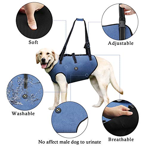 Coodeo Dog Lift Harness, Pet Support & Rehabilitation Sling Lift