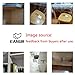 L Bracket Corner Brace Set Stainless Steel EANUR Premium Connector Right Angle Bracket Fasteners 20pcs and 80 pcs Screws