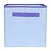 Frozen Else and Anna Collapsible Storage Bin by Disney - Cube Organizer for Closet, Kids Bedroom Box, Nursery Chest - Foldable Home Decor Basket Container with Strong Handles and Design
