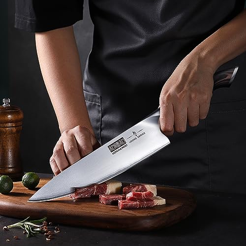 HOSHANHO 6 Piece Kitchen Knife Set, Professional Chef Knife Set, Stainless Steel Kitchen Knife Set with Magnetic Knife Holder