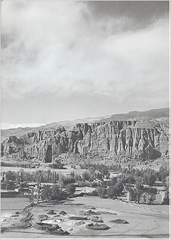 Amazon Fr De L Indus A L Oxus Archeologie De L Asie Centrale Catalogue De L Exposition Osmund Bopearachchi Christian Landes Christine Sachs Collectif Pierre Louis Gatier Livres