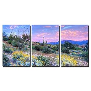 Blooming Desert at Sunset - Canvas Art Wall Art - 16"x24"x3 Panels