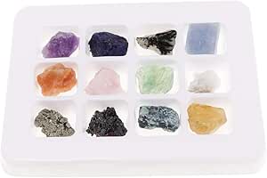 P Prettyia 12 Unidades Caja de Colección de Rocas y ...