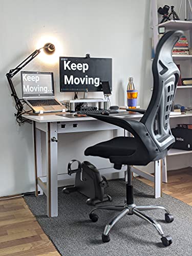 Under Desk Bike Pedal Exerciser Mini Foot Cycle Bike for Arm & Leg Exercise with LCD Display and Adjustable Resistance Desk Cycle Workout Office Home Women Men Seniors(Black)