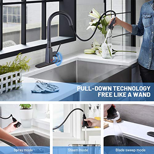 Touchless Kitchen Faucet with Pull Down Sprayer, Dalmo Single Handle