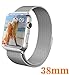 GEOTEL 38mm Milanese Loop Stainless Steel Bracelet Strap Band for Apple Watch Series 1 Series 2 Sport&Edition with Unique Magnet Lock(No Buckle Needed) (38mm-Silver)