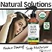 Aloe Vera Spray - USDA Organic Aloe Vera Gel for Sunburn Relief - Certified Spray Aloe for Healthy Skin, Hair & After SunBurn Relief - Made from Aloe Vera Juice Straight from the Plant [8oz Size]