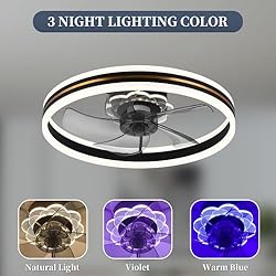 Fszdorj Ceiling Fan with Light, 2024 Upgraded