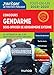 Concours Gendarme sous-officier de gendarmerie externe - Tout-en-un: Tout-en-un - 2019/2020 (2019-2020) (Fonction Publique d'État (1)) (French Edition) by 