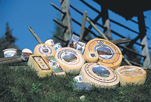 Toblacher Stangenkäse ca. 500 gr. - Sennerei Drei Zinnen – Bild 3