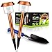 LongWalker Solar-Powered LED Garden and Pathway Lights: 2 Wireless, Weatherproof, Waterproof, Longlasting Stainless Steel Ground Lights plus Garden Hand Shovel