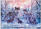 5D DIY Full Beads Crystal Diamond Rhinestone Painting By Number Cross Stitch Embroidery DIY Craft Wolf Family (20x30)CM