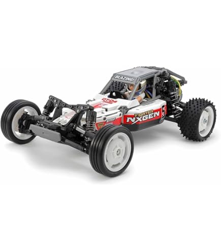 Amazon.com: TAMIYA Team Reinert Racing Man TGS TT-01 Type E