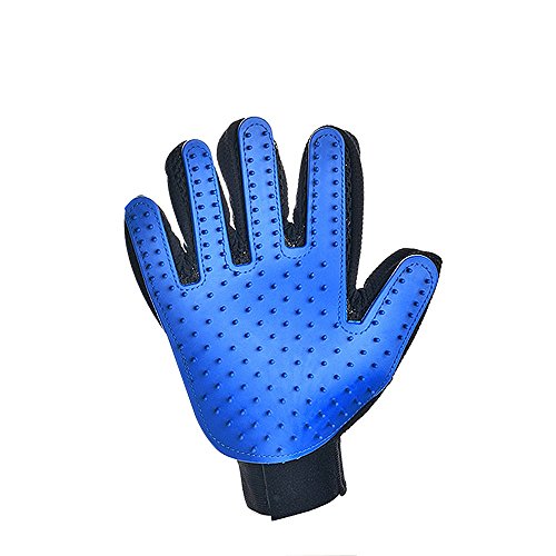 Buy Dog Grooming Glove Brush Right Handed in 1 Pcs also for Cat