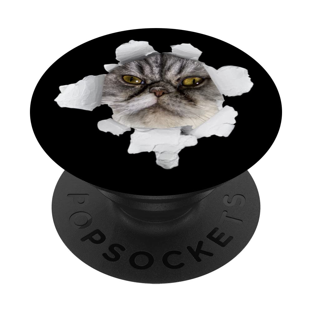 Frowny Cat Big Eyes Peeking Out of Torn Fabric Cloth Paper PopSockets Swappable PopGrip