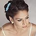 eBoot 40 Pack Flower Crystal Rhinestone Hair Pins with a Storage Bag for Bridal Wedding Hair Accessories (Blue)