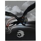 How to Train Your Dragon Toothless Kids Bedding Super Soft Plush Cozy Throw, 46 in x 60 in, (Officially Licensed Product) by Franco