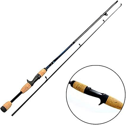 amazon sea fishing rods