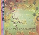 KEY TO A FALSE DOOR                                image